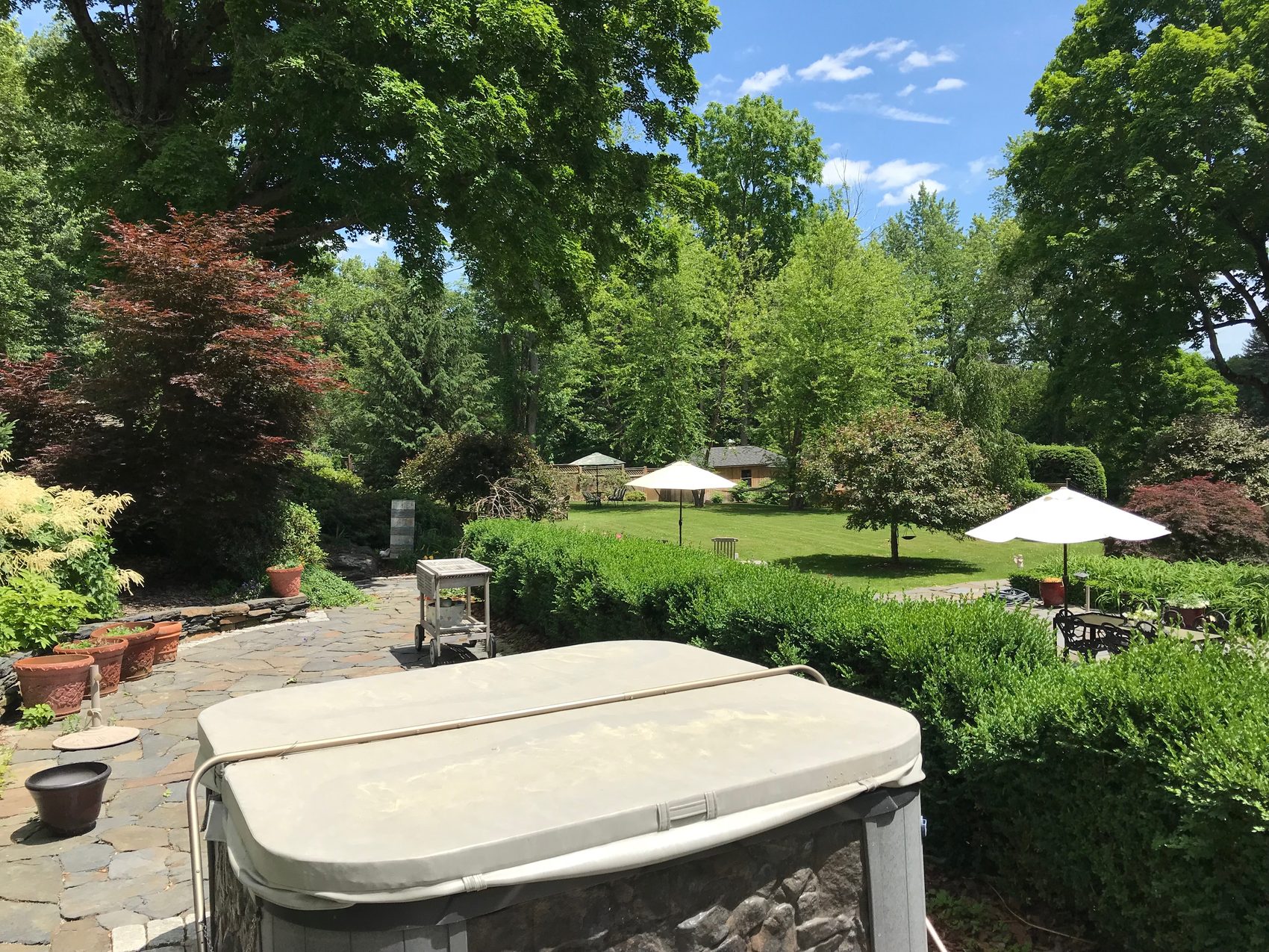 Terrace dining
